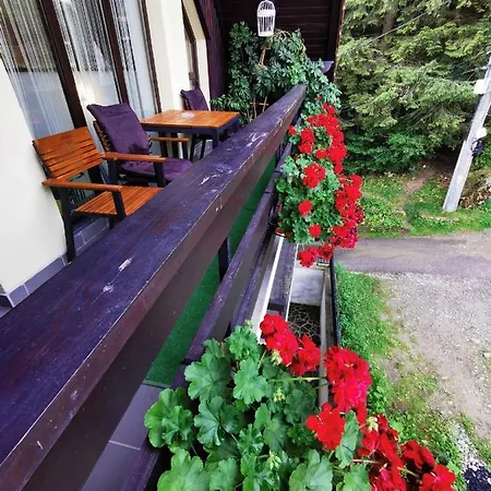 Apartment Kalinderu K1 Busteni