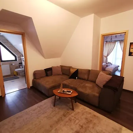 Kalinderu K1 公寓 Buşteni